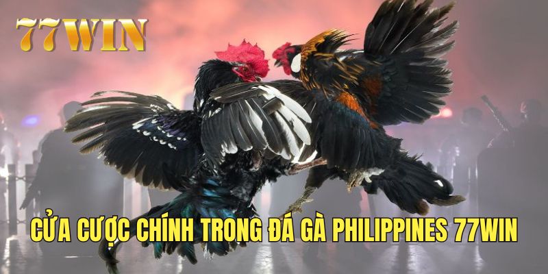 Các cửa cược trong đá gà Philippines tại 77WIN