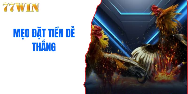 Mẹo đặt tiền dễ thắng