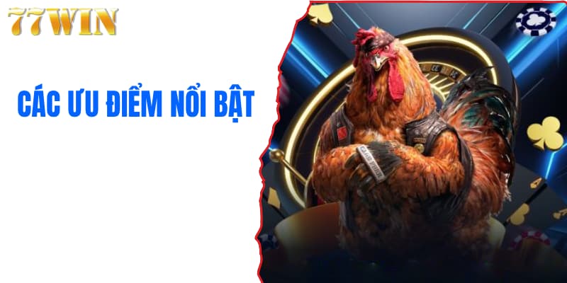 Các ưu điểm nổi bật