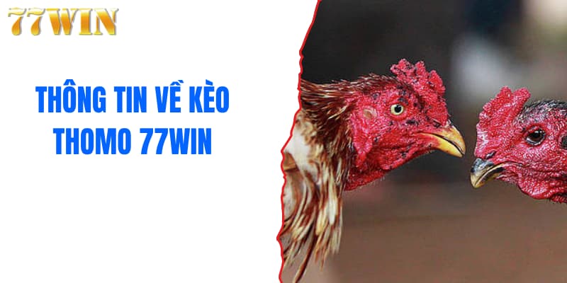 Thông tin về kèo Thomo 77WIN