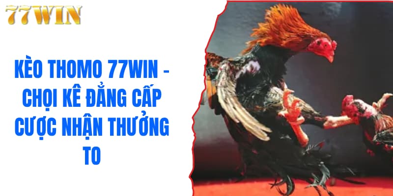 Kèo Thomo 77WIN